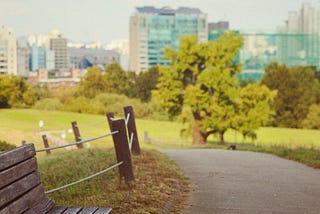 a bench in foreground and a big tree in the background, behind even the tree is the city