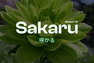Season 12 — Sakaru