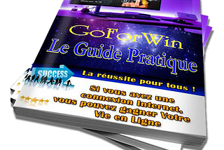 LE GUIDE PRATIQUE “GOFORWIN” LA NOUVELLE PLATEFORME E-COMMERCE COLLABORATIVE 3.0