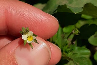 Ya tenés todo lo que necesitás para conectar con tu audiencia