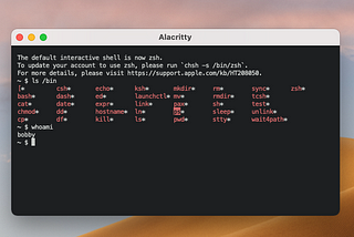 Which macOS terminal should you use?