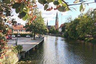 Reflections from Uppsala, Sweden: Year Abroad