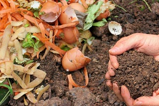 Why we should expand composting infrastructure across the country