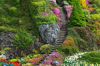 The Garden