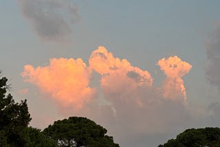 Parents Should Shut Up! While Raising Kids