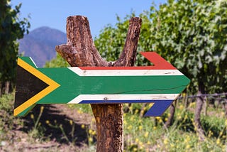 How South African vineyards are surviving the drought