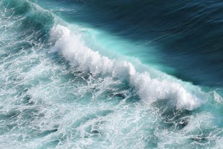 Futurists of the World takes on Oceans