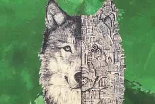 Amy Roa’s poetry book ‘Radioactive Wolves’