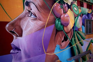 Street Art Grafitti showing the profile of a woman wearing a nose ring and flowers behind her ear