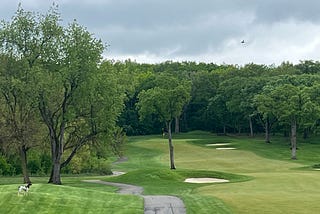 Wet! Saturated Soils, New Yellow Ring Disease, Broadleaf Weeds, and Moss Research