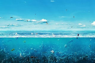 Are we going to turn the oceans into garbage dumps?
 The seas and oceans are filled with our garbage that either floats on the surface or is under water, perhaps at the bottom. With our irresponsible and arrogant behavior, we endanger everything, all animal and plant species, the entire planet and, in the end, ourselves.