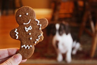Receita de Biscoito para Cachorro — Petisco Barato e Saudável para o Seu Amigo Peludo!