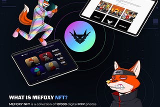 WHAT IS MEFOXY NFT?