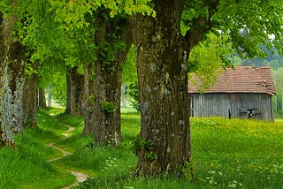 Happiness means a life in balance, a life of meaning | LAUREL