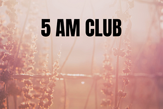 SUMMARY OF 5 AM CLUB