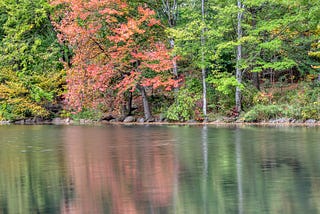 3 Steps to Better Fall Landscape Photos