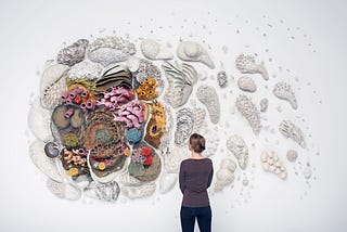 Mercan Resifleri ve Sanat: Farkındalık Yaratan Eserler