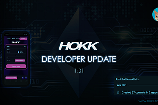 HOKK Developer Update 1.01