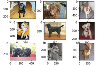 Dogs vs Cats — A Project in Exploration Data Analysis and Machine Learning