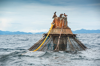 An open ocean aquaculture farm pen with birds sitting on top