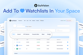 SuiVision.xyz: Your Space, Your Control