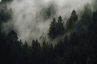 The Random Forest Algorithm: Its Working, Applications, and Example