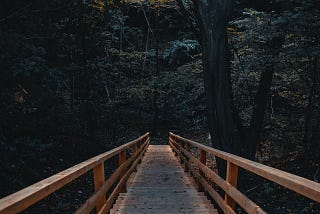 A wooden staircase going down into the forest.