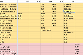 A screenshot of my physical therapy homework schedule