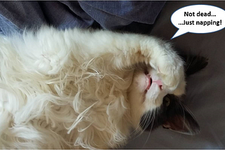 Floofy cat with paw over its eyes. Exasperated. Speech bubble — ‘Not dead … just napping’