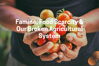 Famine, Food Scarcity and Our Broken Agricultural System