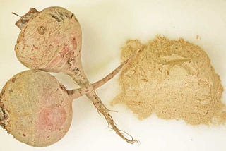 Skincare Recipes — How to DIY Make Maca Vitality Scrub