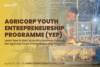 The Untapped Potential In Agriculture: Why Youths are the Goldmine.