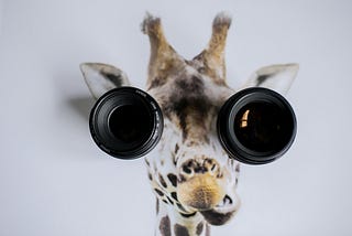 Two black camera lenses on giraffe painting photo.