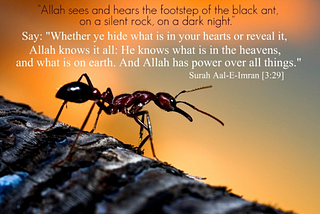 An Encounter with Allah
