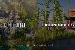 Voxel Ville x Expandables Partnership