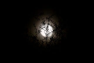 Lâcher prise…
