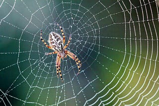 The Architecture of a Web Crawler: Building a Google-Inspired Distributed Web Crawler. Part 1
