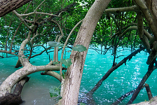 The Blue Lagoon near Port Antonio, Jamaica