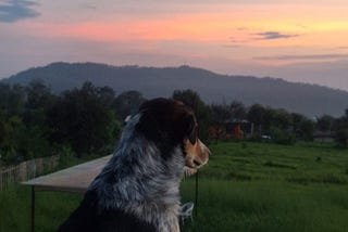 The body knows before the mind is ready to act.