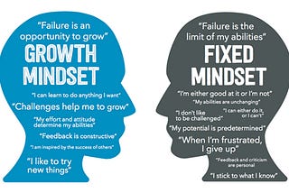 How to grow your mindset and become more successful ?