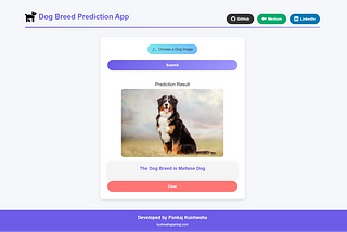 Building a Dog Breed Prediction App with Django and TensorFlow