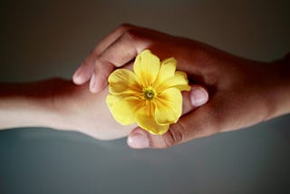 Photograph of two different hands (young and old), embracing over a yellow flower