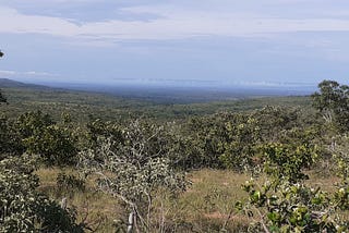 cerrado no Parque Nacional Grande Sertão Veredas