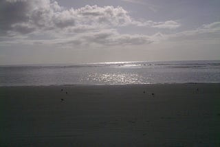 Photo of St. Simons Island, GA, East Beach, taken by the author on 12/5/2011
