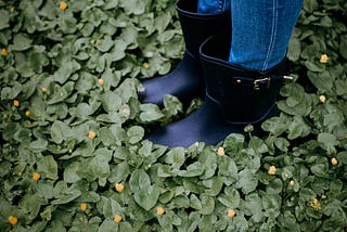 Boots in plants