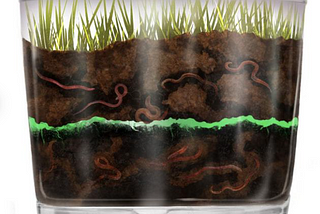 Kid’s worm farm kit with live earthworms