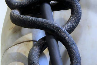 Chatbots: Spiralpost