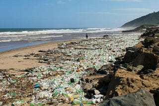 The Menace of Polythene: A Silent Killer of Our Oceans