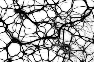 Modeling the brain