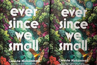 Ethos is Everything. Why I Buy From Bookshop.org
